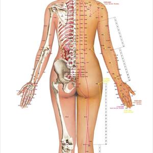 Chinese Sciatica Pills - Sciatica: Cause And Diagnosis